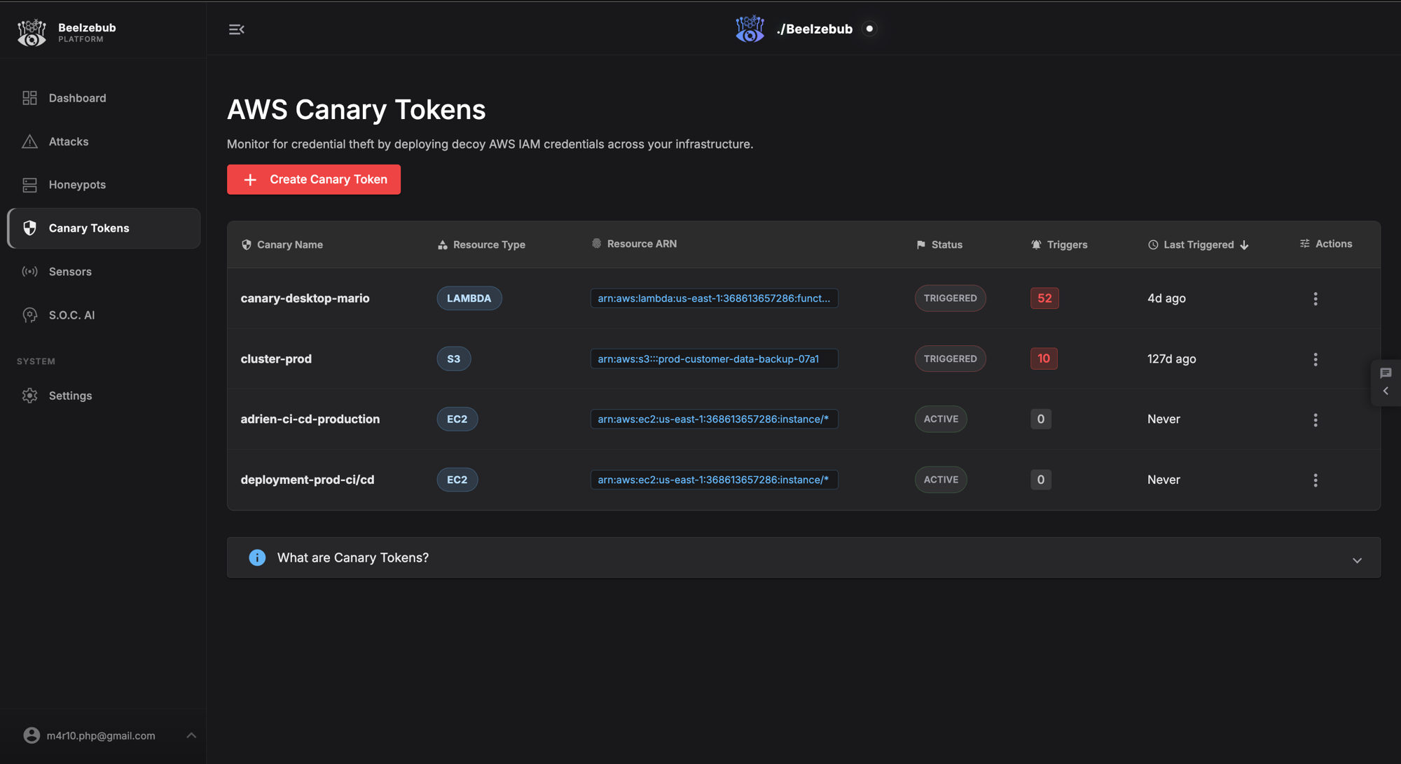 Decoy credentials that catch theft